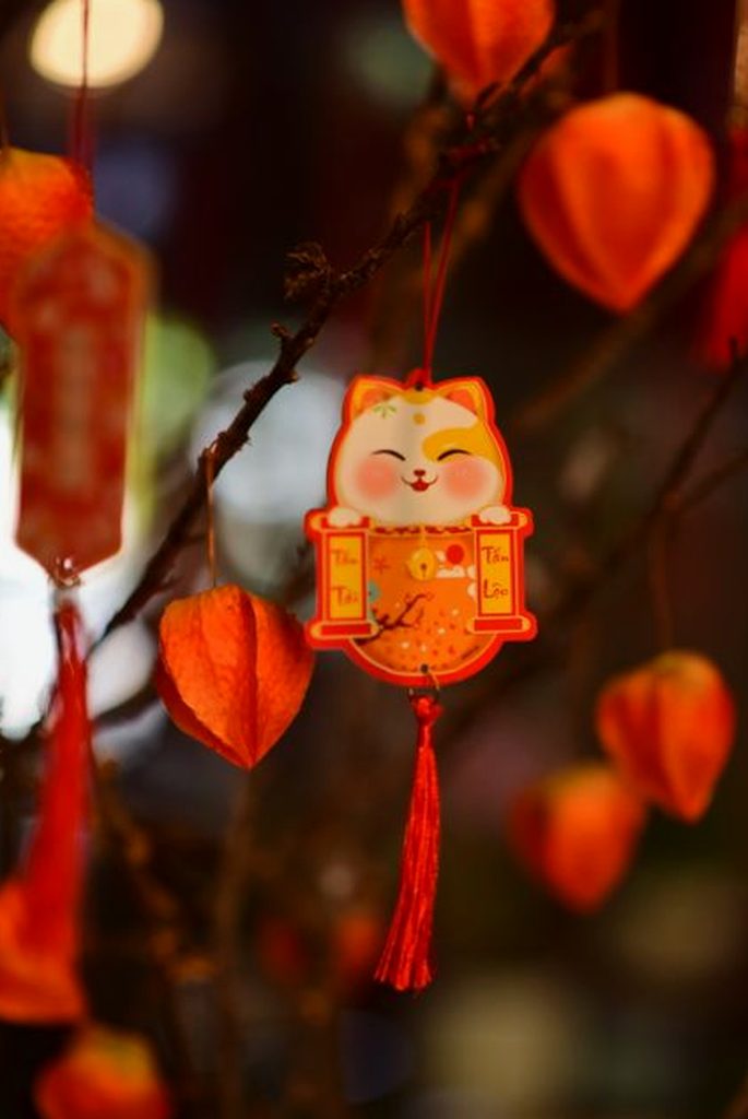 mới nhất link Nohu